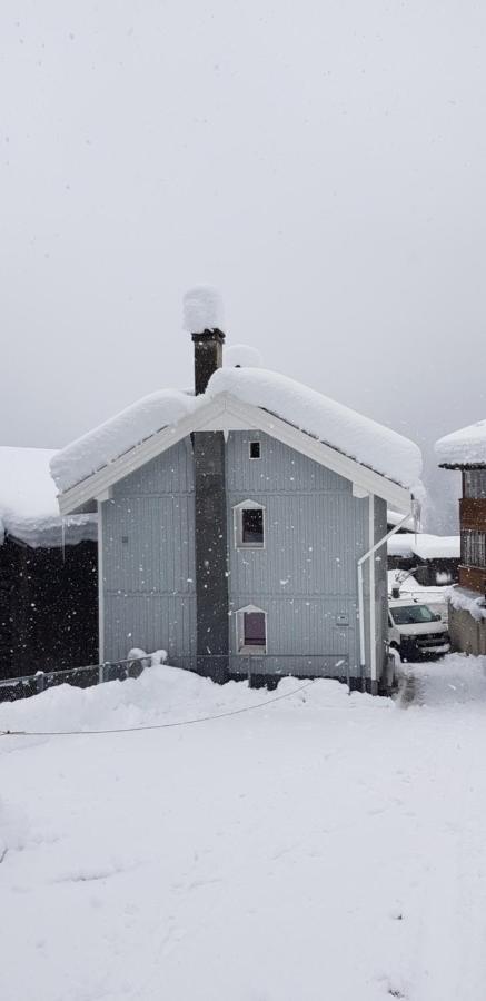 Casa Cuschina - Mit Sauna In Der Schoenen Surselva Dardin Eksteriør bilde